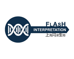 Flash Interpretation