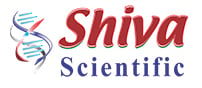 shiva